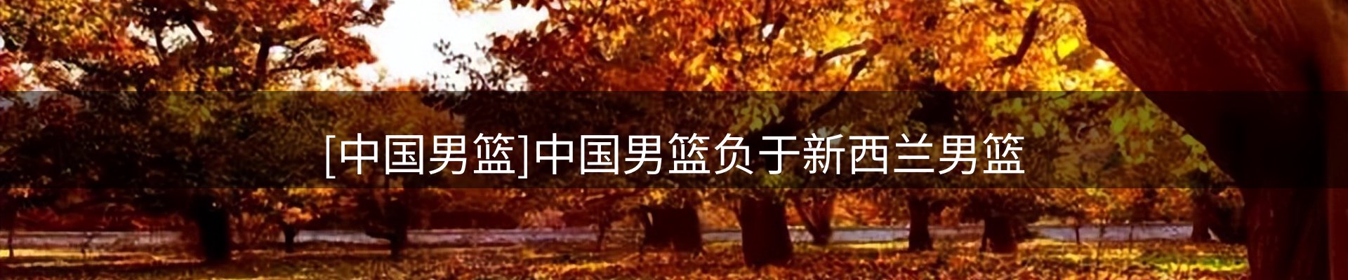 综合资讯
